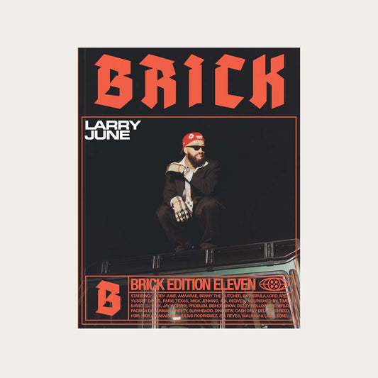 Brick #11 Larry June  cover