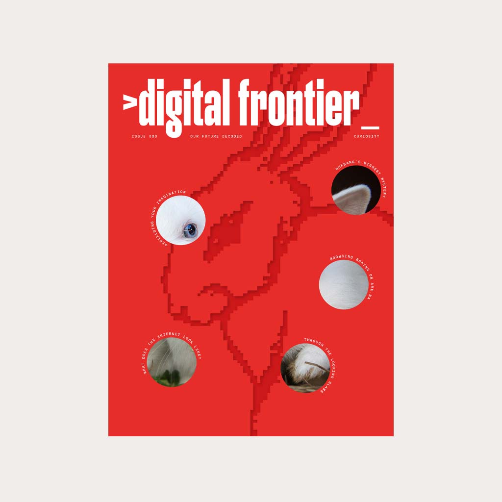 Digital Frontier #3 cover