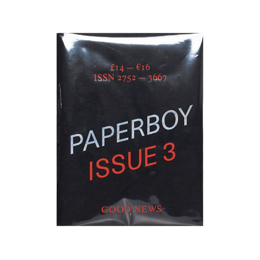 PAPERBOY #3